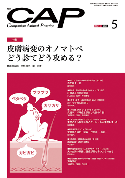 ＣＡＰ　2026年5月号