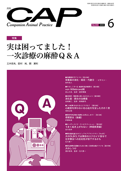 ＣＡＰ　2026年6月号