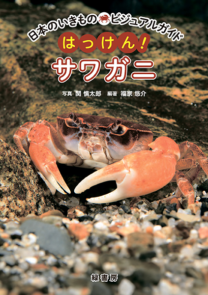 日本のいきものビジュアルガイド　はっけん！　サワガニ