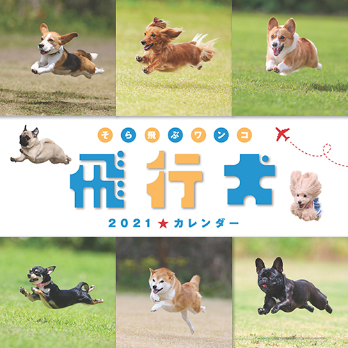 飛行犬カレンダー２０２１ 壁掛け 株式会社 緑書房