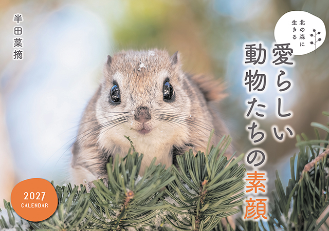 北の森に生きる愛らしい動物たちの素顔カレンダー2027（壁掛け）