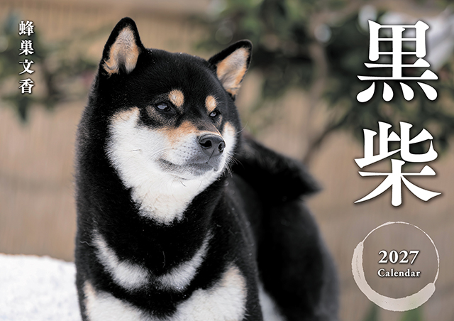 黒柴カレンダー2027（壁掛け）