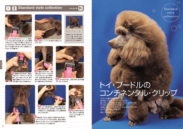 ロシアの作家様プードル 犬ジョイント付