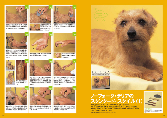 ペットトリミング雑誌6冊セット スタンダード・スタイル・コレクション 株式会社 緑書房
