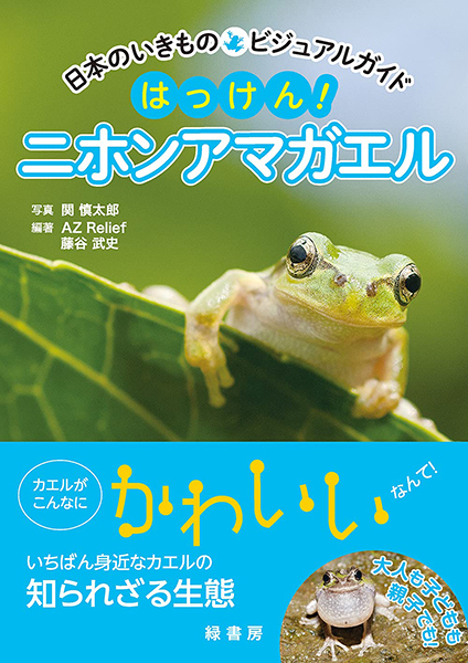 蛙【まとめ買い以外値引き不可】 日本のいきものビジュアルガイド はっけん! ニホンアマガエル 株式会社