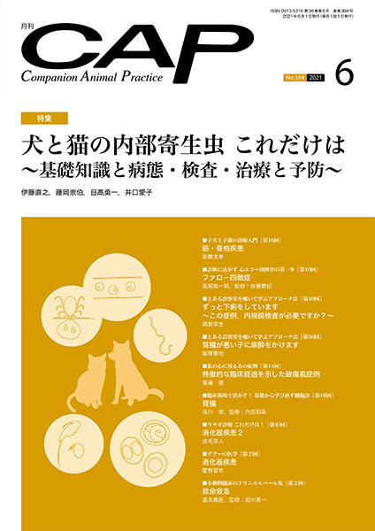 ＣＡＰ　2021年6月号