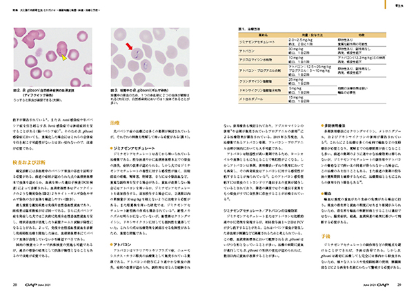 CAP 2023.1～6月　獣医学雑誌　裁断済 月刊CAPのバックナンバー | 雑誌/定期購読の予約はFujisan