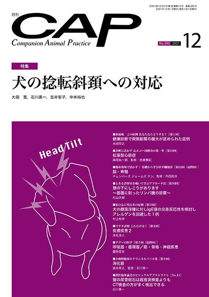 ＣＡＰ　2021年12月号