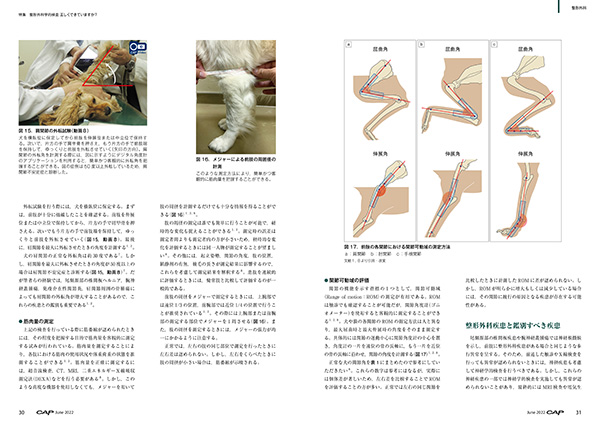 CAP 2023.1～6月　獣医学雑誌　裁断済 裁断済 CAP 獣医学 2021.1-2023.1 全25冊