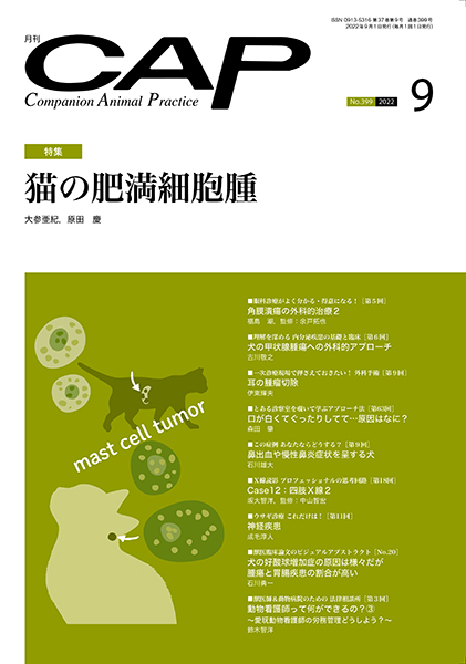 ＣＡＰ　2022年9月号