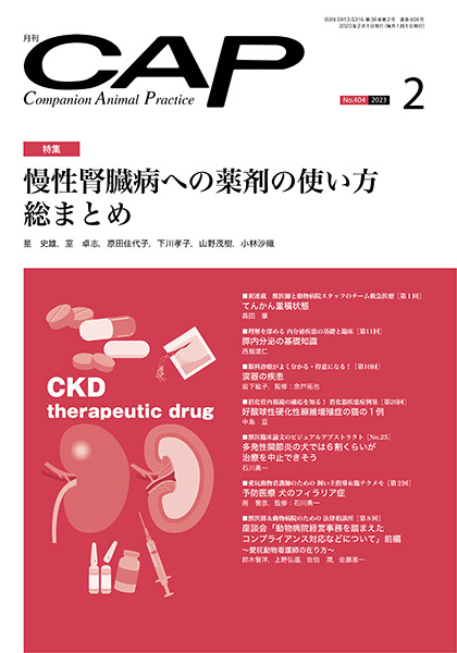 ＣＡＰ　2023年2月号