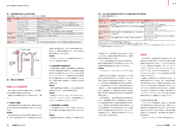 CAP 2023年2月号 株式会社 緑書房