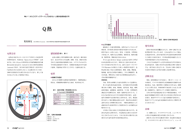 CAP 2023年4月号 株式会社 緑書房