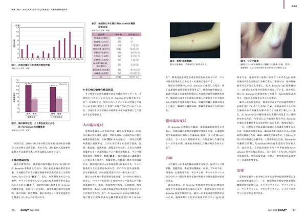 （値下げ可能）　動物の感染症　第四版 517zDYnlwYL.jpg_BO30,255,255,