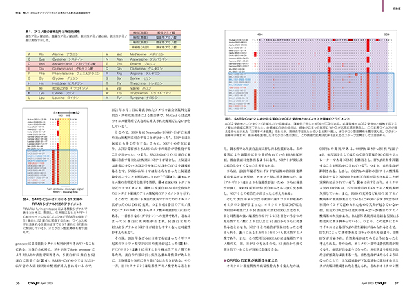 CAP 2023年4月号 株式会社 緑書房