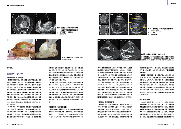 CAP 2023.1～6月　獣医学雑誌　裁断済 CAP 2023.1～6月 獣医学雑誌 裁断済 CAP 株式会社 緑書房