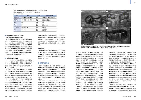 ★裁断済 CAP 2023 7-12号セット 獣医 CAP 2023年7月号 株式会社 緑書房