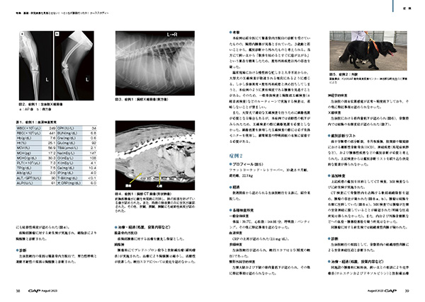 裁断済　CAP 獣医学雑誌　2015.9-2018.8 36冊 裁断済 CAP 獣医学雑誌 2015.9-2018.8 36冊