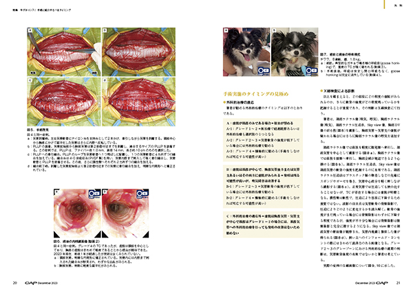 CAP 2023年12月号 株式会社 緑書房