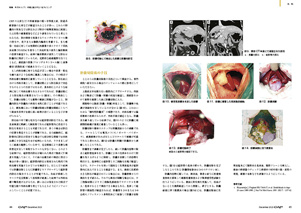 CAP 2023年12月号 株式会社 緑書房
