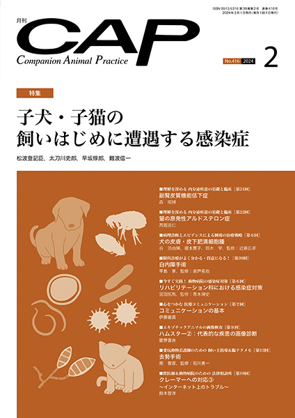 ＣＡＰ　2024年2月号