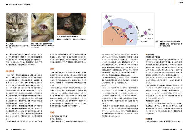 CAP 2024年2月号 株式会社 緑書房