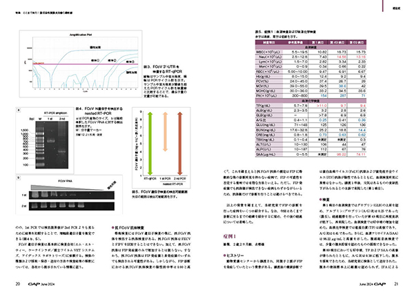 CAP 2024年6月号 株式会社 緑書房