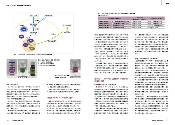 CAP 2023.1～6月　獣医学雑誌　裁断済 CAP 株式会社 緑書房