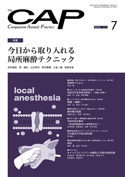 ＣＡＰ　2024年7月号