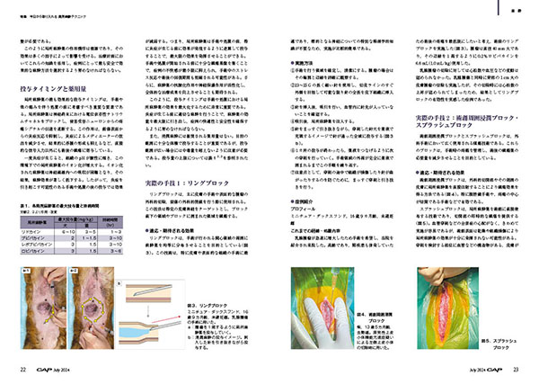 CAP 2024年7月号 株式会社 緑書房