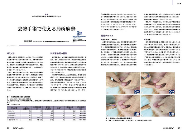 CAP 2024年7月号 株式会社 緑書房