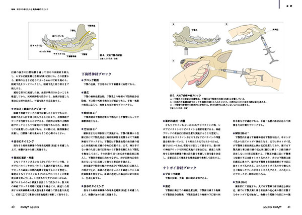 CAP 2024年7月号 株式会社 緑書房