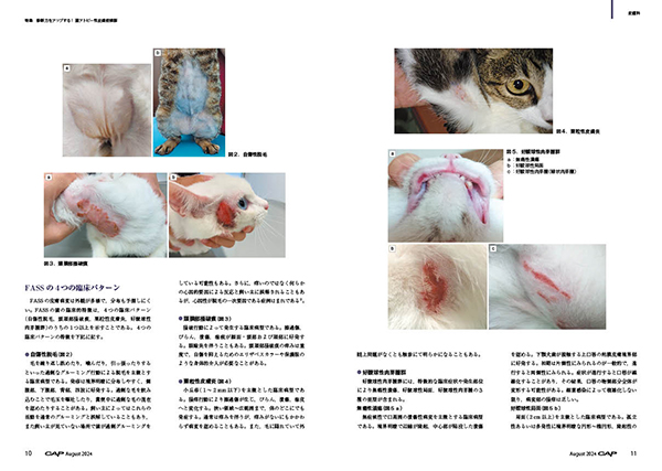 猫の皮膚病診断マニュアル 猫の診療指針 Part2 株式会社 緑書房