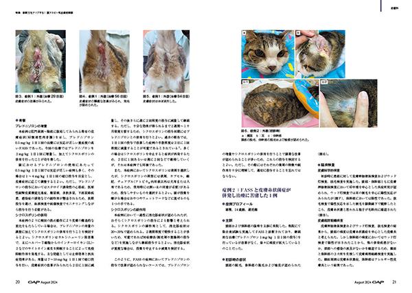 最新　猫の臨床医学 UJO4DW7375C23O6YXUDO7GHG4Y.jpg