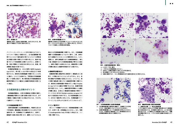 CAP 2024年11月号 株式会社 緑書房