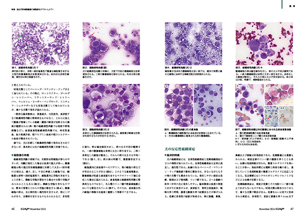 CAP 2024年11月号 株式会社 緑書房