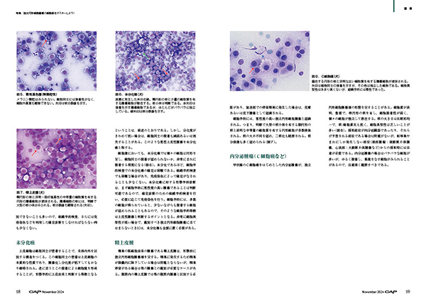 CAP 2024年11月号 株式会社 緑書房