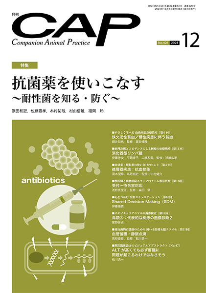 ＣＡＰ　2024年12月号