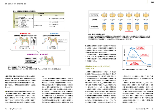 CAP 2024年12月号 株式会社 緑書房