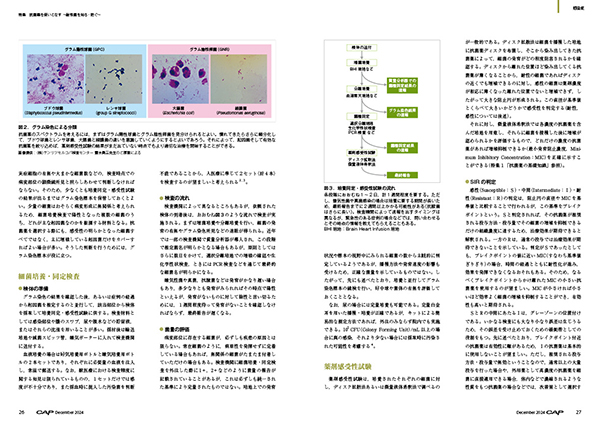 CAP 2024年12月号 株式会社 緑書房