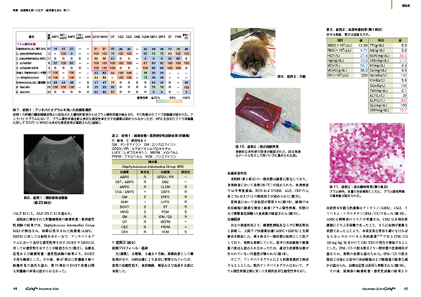 CAP 2024年12月号 株式会社 緑書房