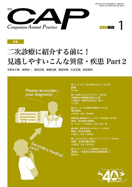 ＣＡＰ　2025年1月号