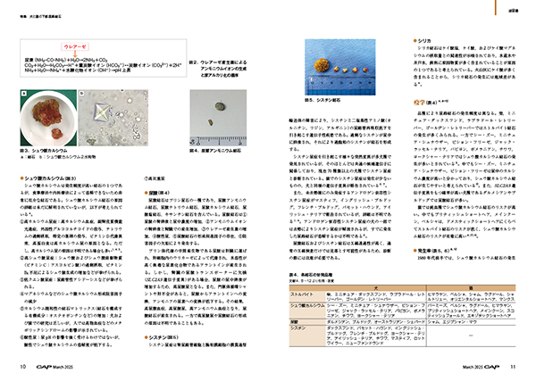 CAP 2025年3月号 株式会社 緑書房
