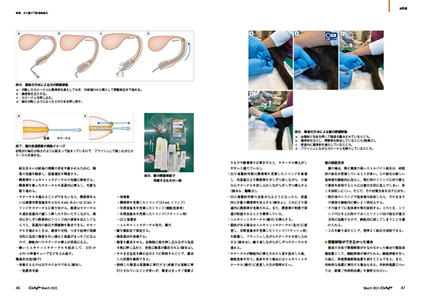 CAP 2025年3月号 株式会社 緑書房