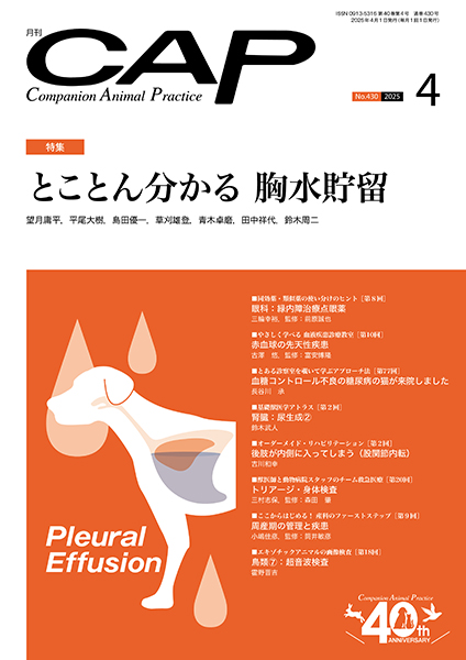 ＣＡＰ　2025年4月号