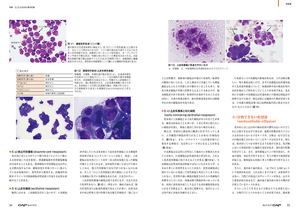 CAP 2025年4月号 株式会社 緑書房