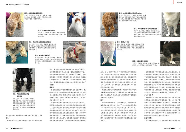 CAP 2025年5月号 株式会社 緑書房