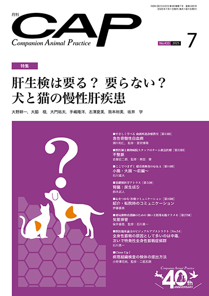 ＣＡＰ　2025年7月号