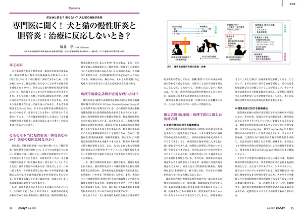 CAP 2025年7月号 株式会社 緑書房