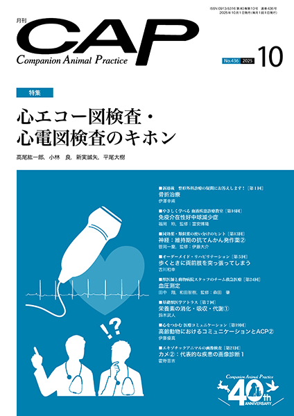 ♪裁断済 CAP 2024 1-6 合計6冊セット 獣医 CAP 株式会社 緑書房
